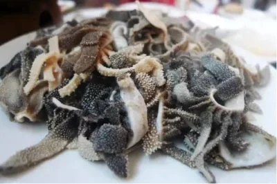Beijing baodu tripe texture before dipping into sesame sauce