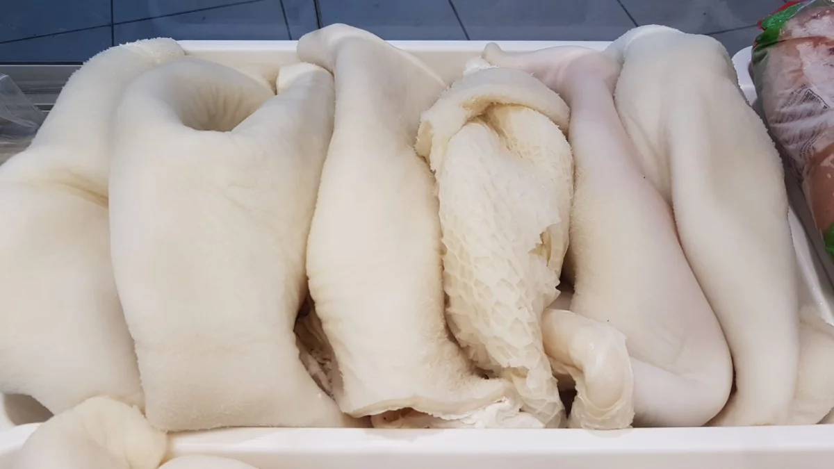 Fresh beef tripe showing broad white stomach sections before cooking