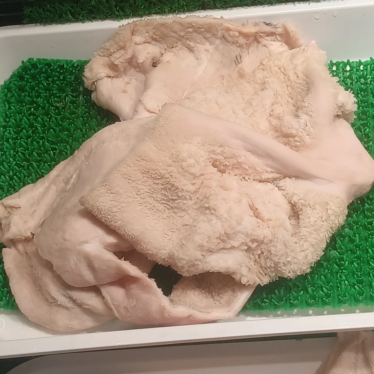 Fresh beef tripe used to explain what baodu shops prepare before ordering