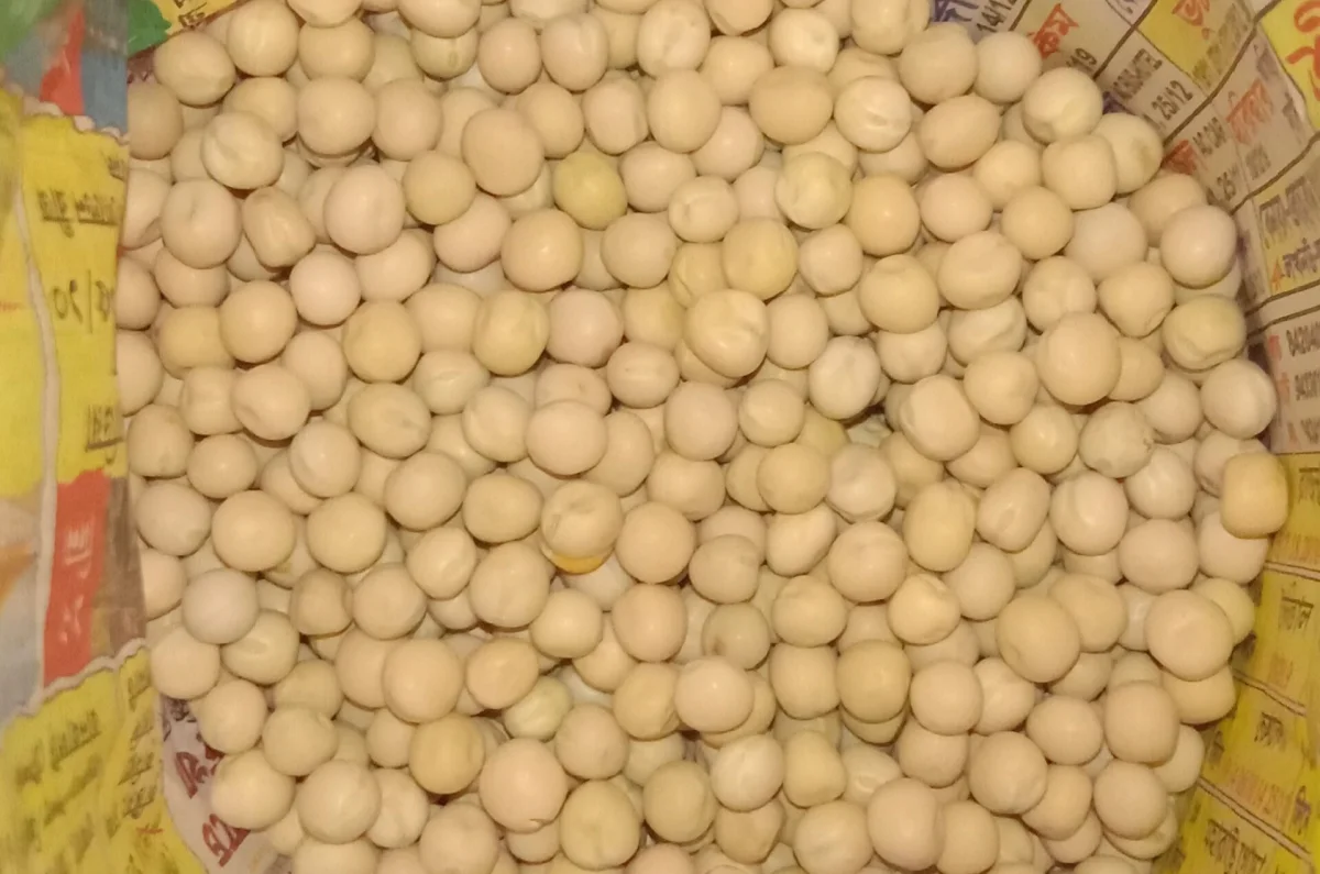 Dried yellow peas, the main ingredient used for Wandouhuang pea cake