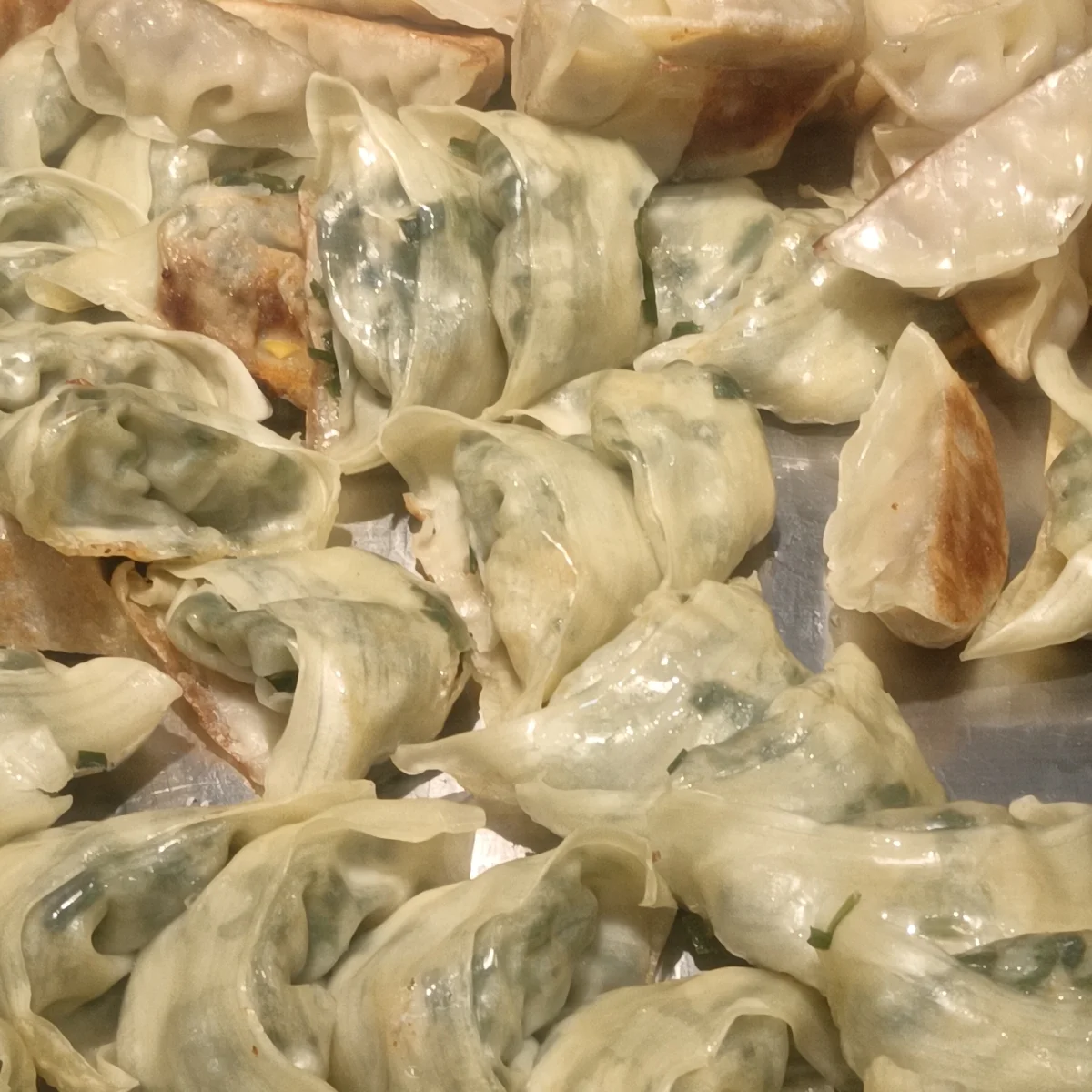 Chive-and-pork potstickers showing thin wrappers and patches of browned crust