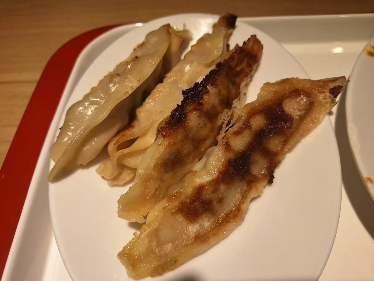Open-ended potstickers on a white plate, photographed in Laoling, Shandong